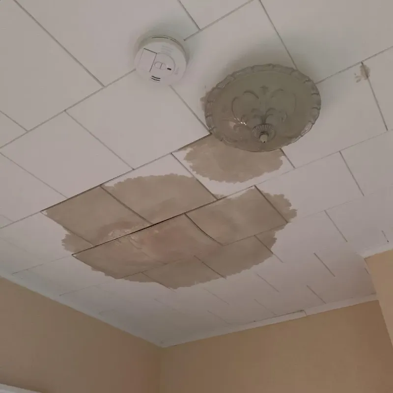 Ceiling Water Damage Repair in Huntington Woods, MI