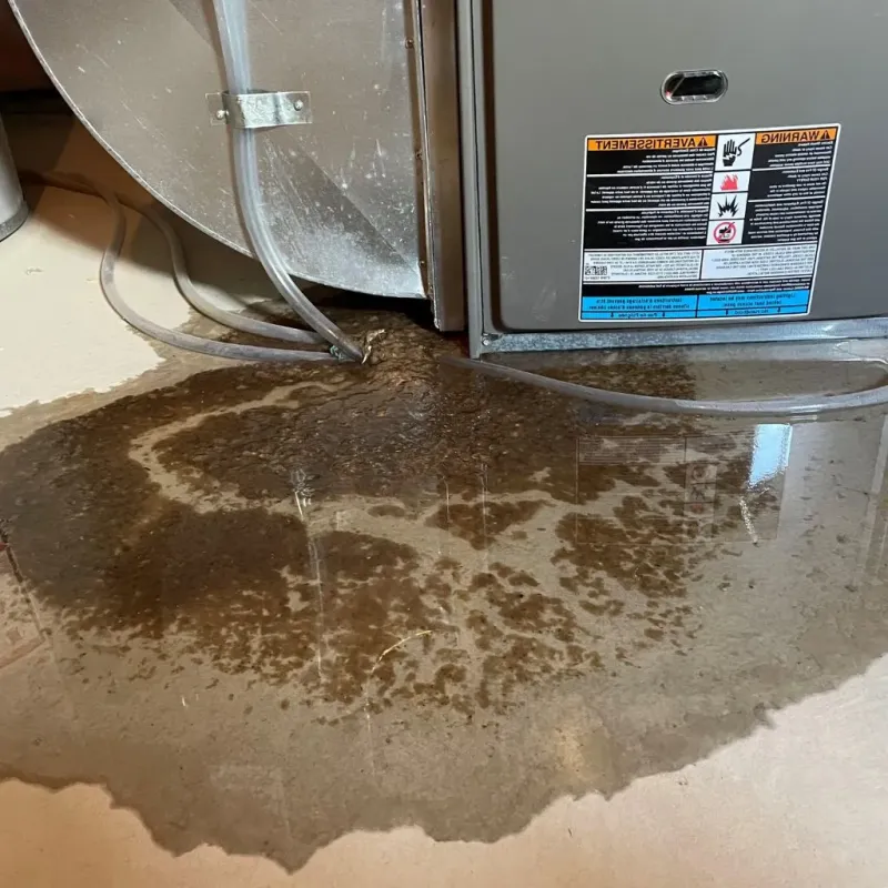 Pipe Burst and Leak Restoration in Huntington Woods, MI