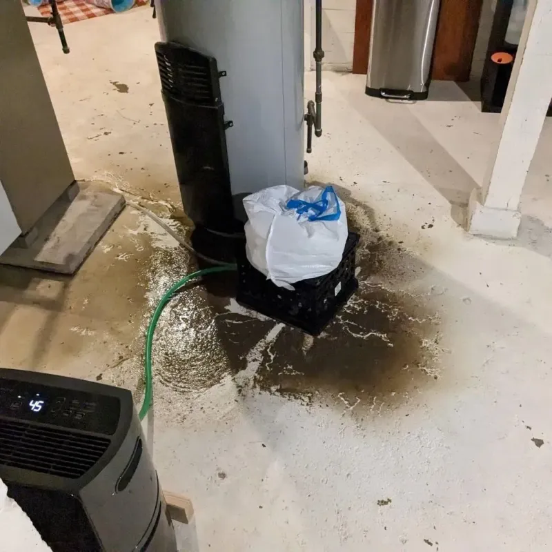 Sewage Backup Cleanup Service in Huntington Woods, MI